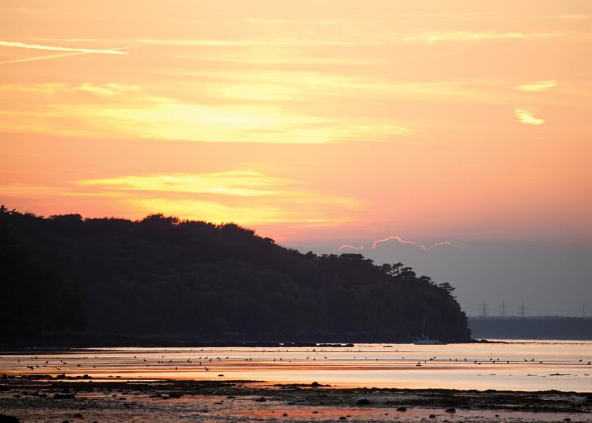Hotel Woodside Coastal Retreat Fishbourne  Exteriér fotografie